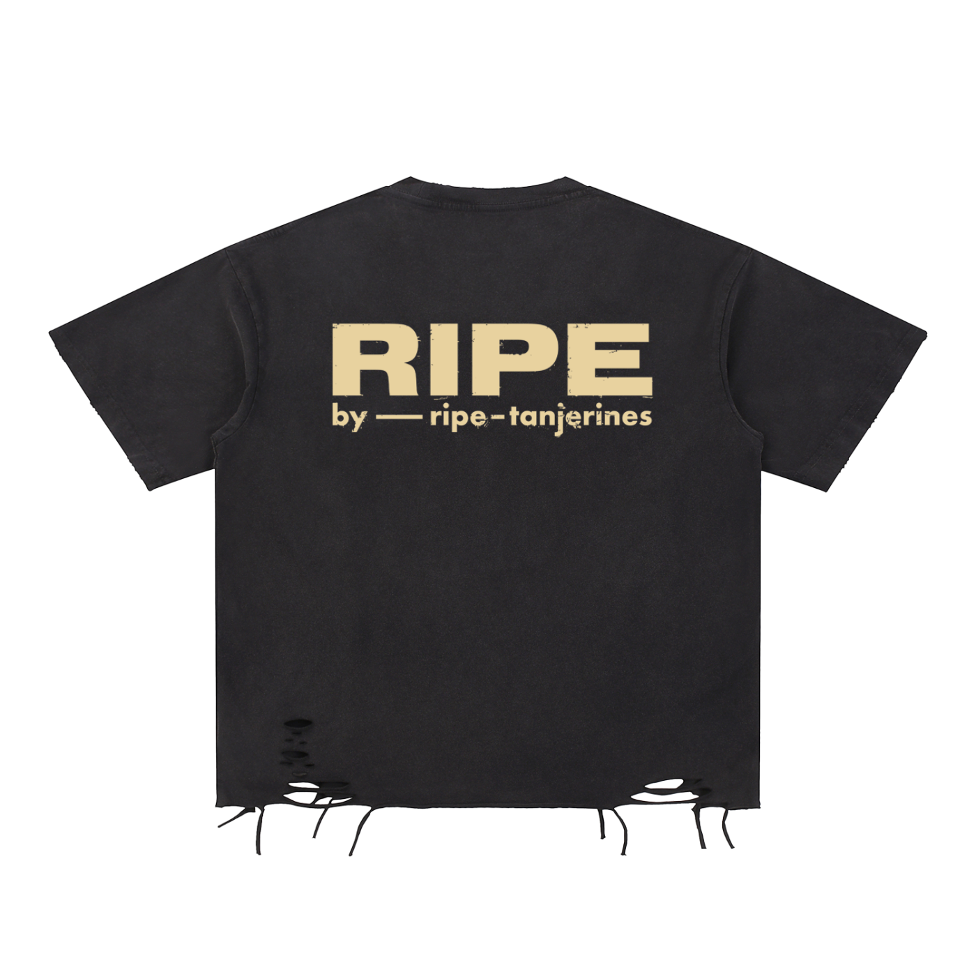 "This World Will Rot" Snow Washed Raw-Hem T-Shirt